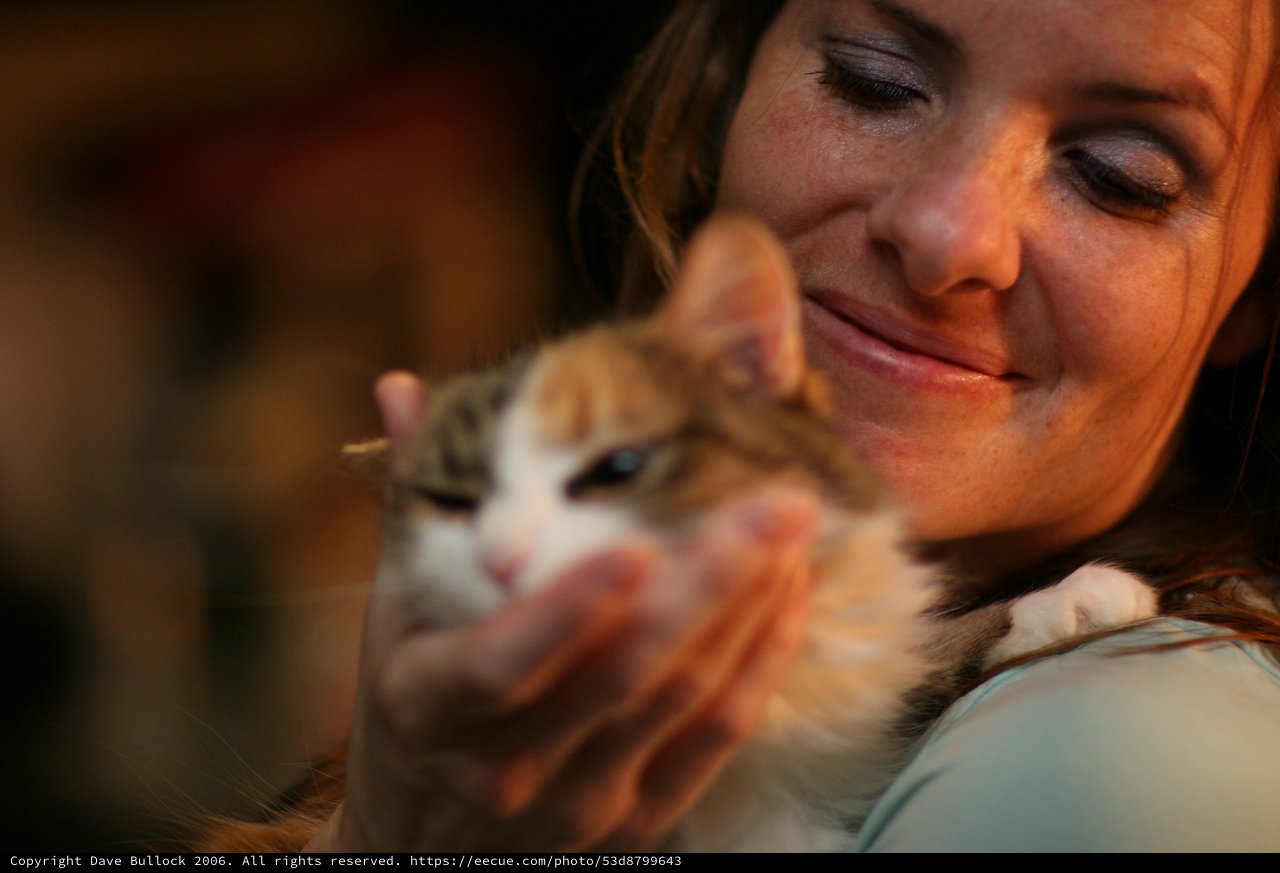 Tender Moment with a Calico Kitten at Dusk