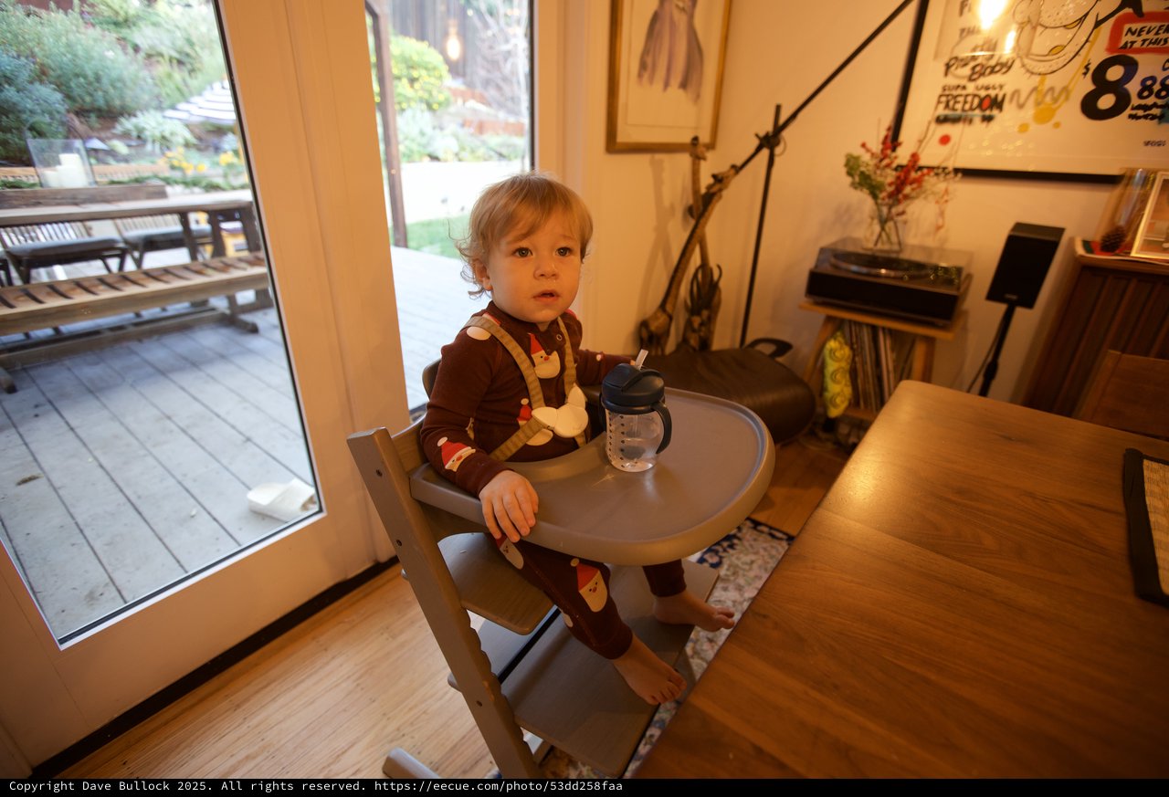 Toddler at Table During Christmas Afternoon