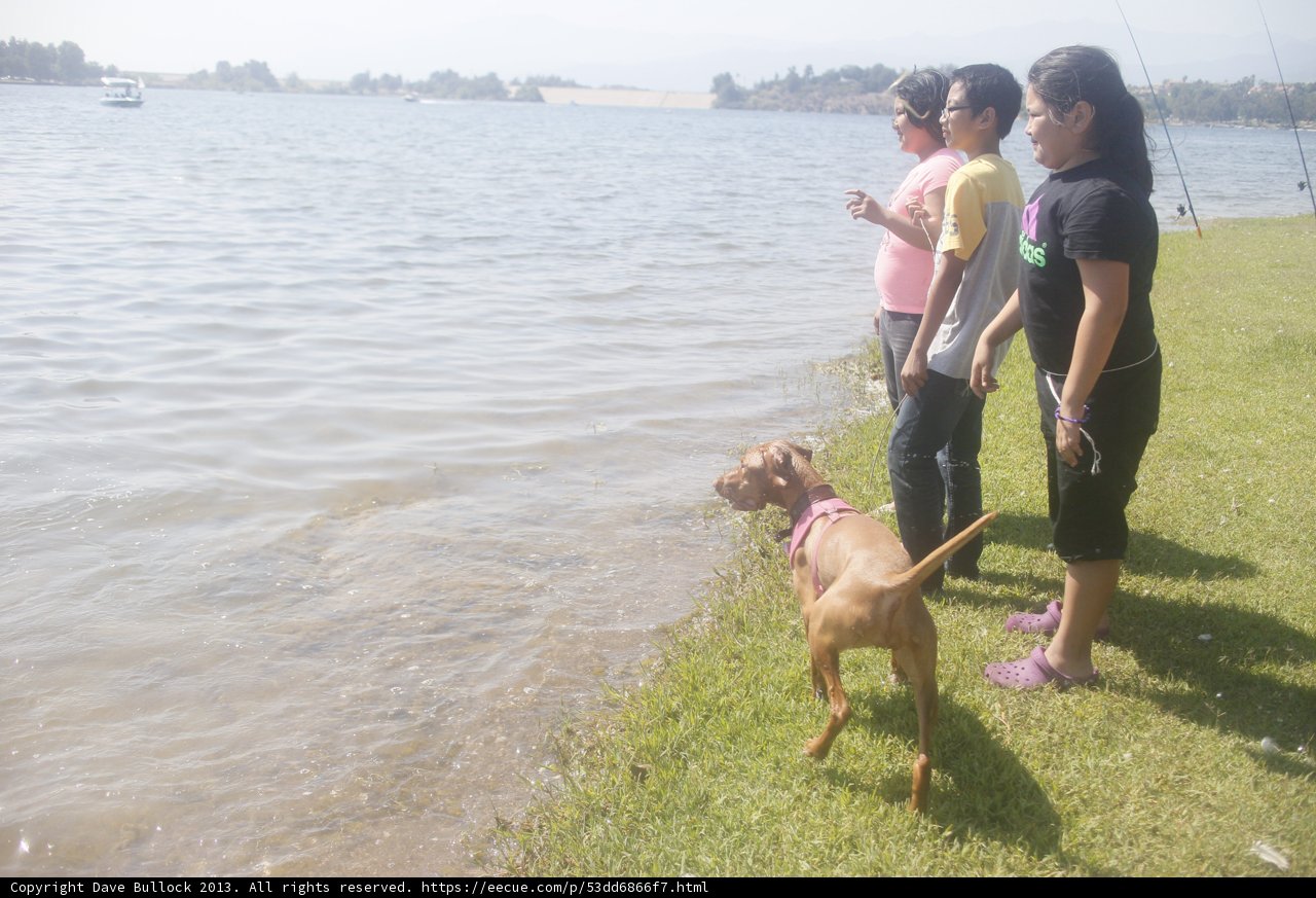 Lakeside Portrait with Canine Companion
