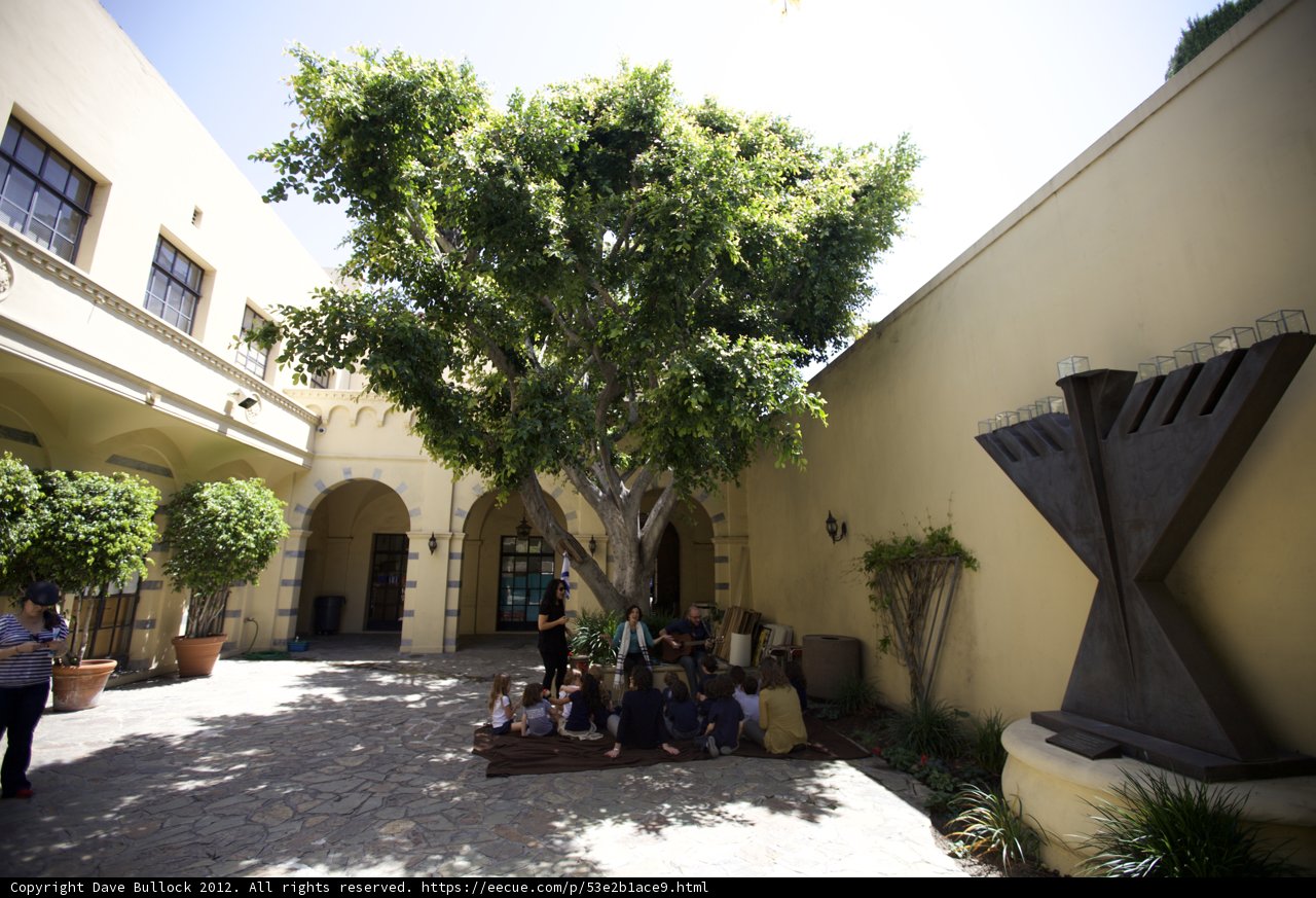 Courtyard Gathering