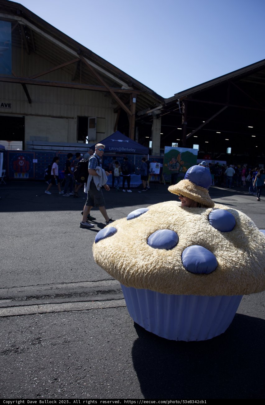 Sweet Stroll at Maker Faire