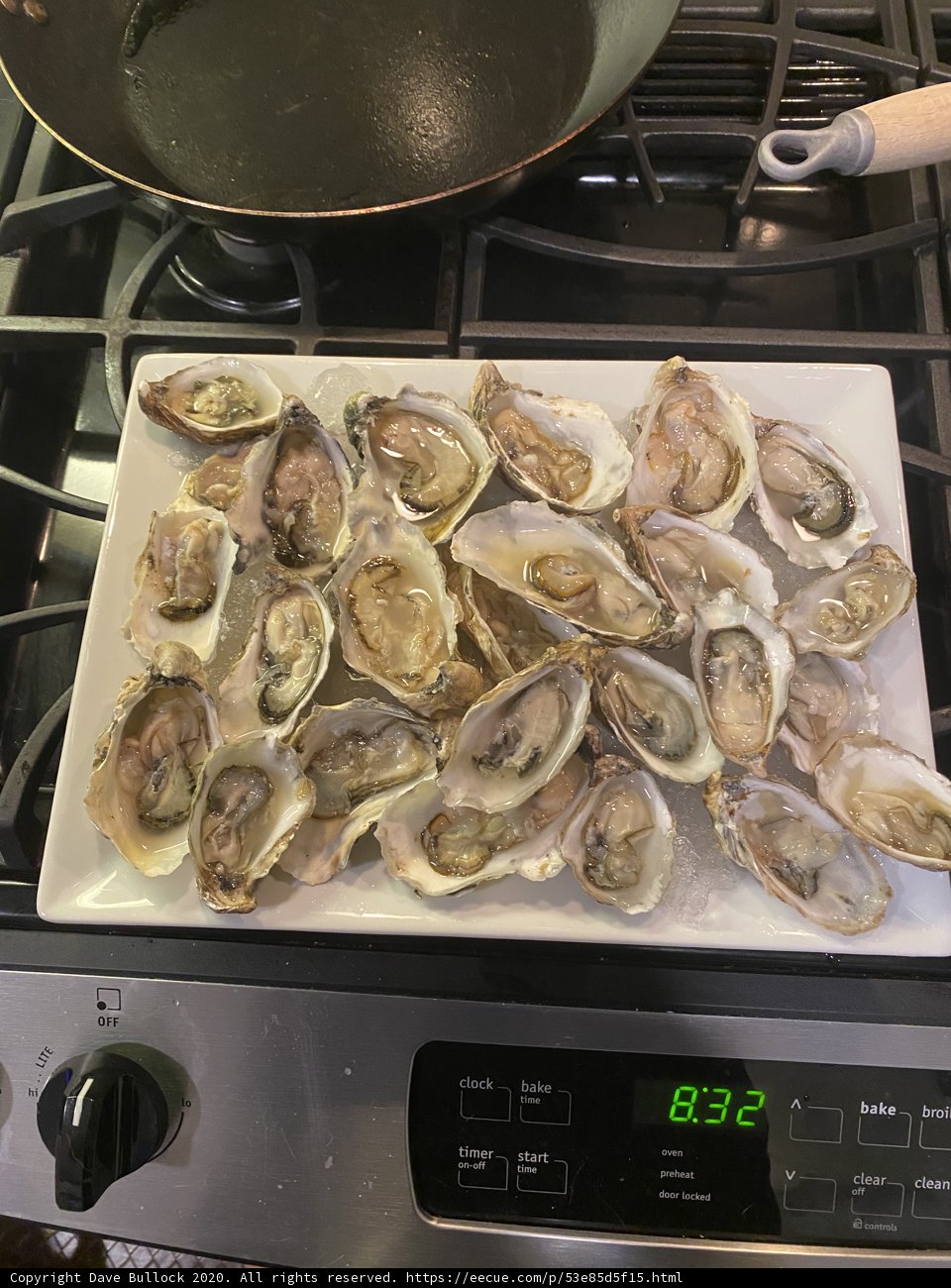 Fresh Oysters from San Francisco