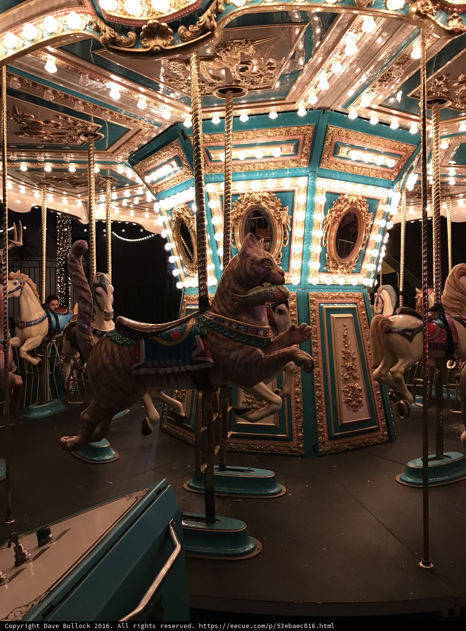 A Fun-filled Day at the Carousel
