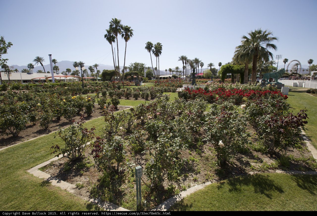 A Beautiful Oasis