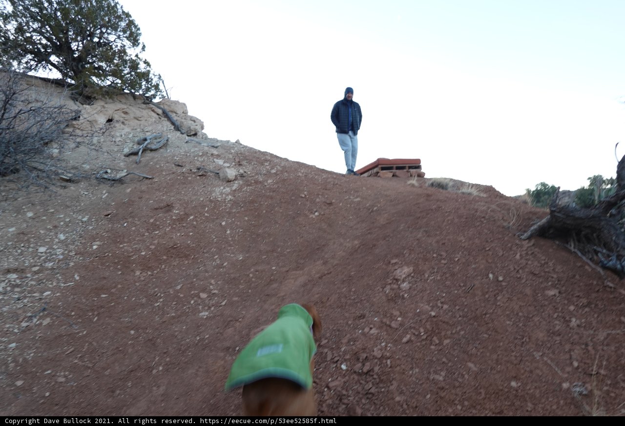 Descending the Hill with a Furry Companion