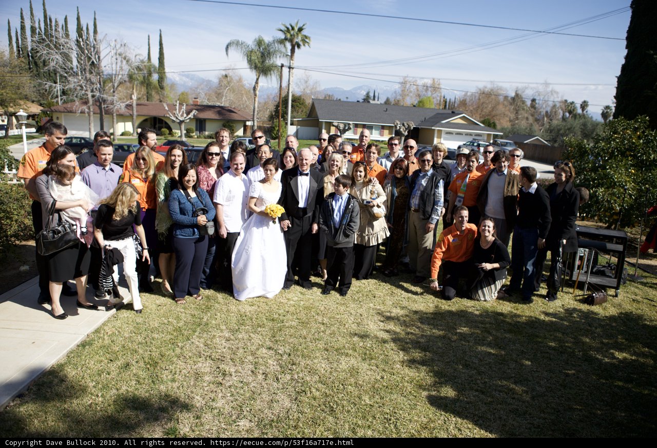 The Picture Perfect Wedding