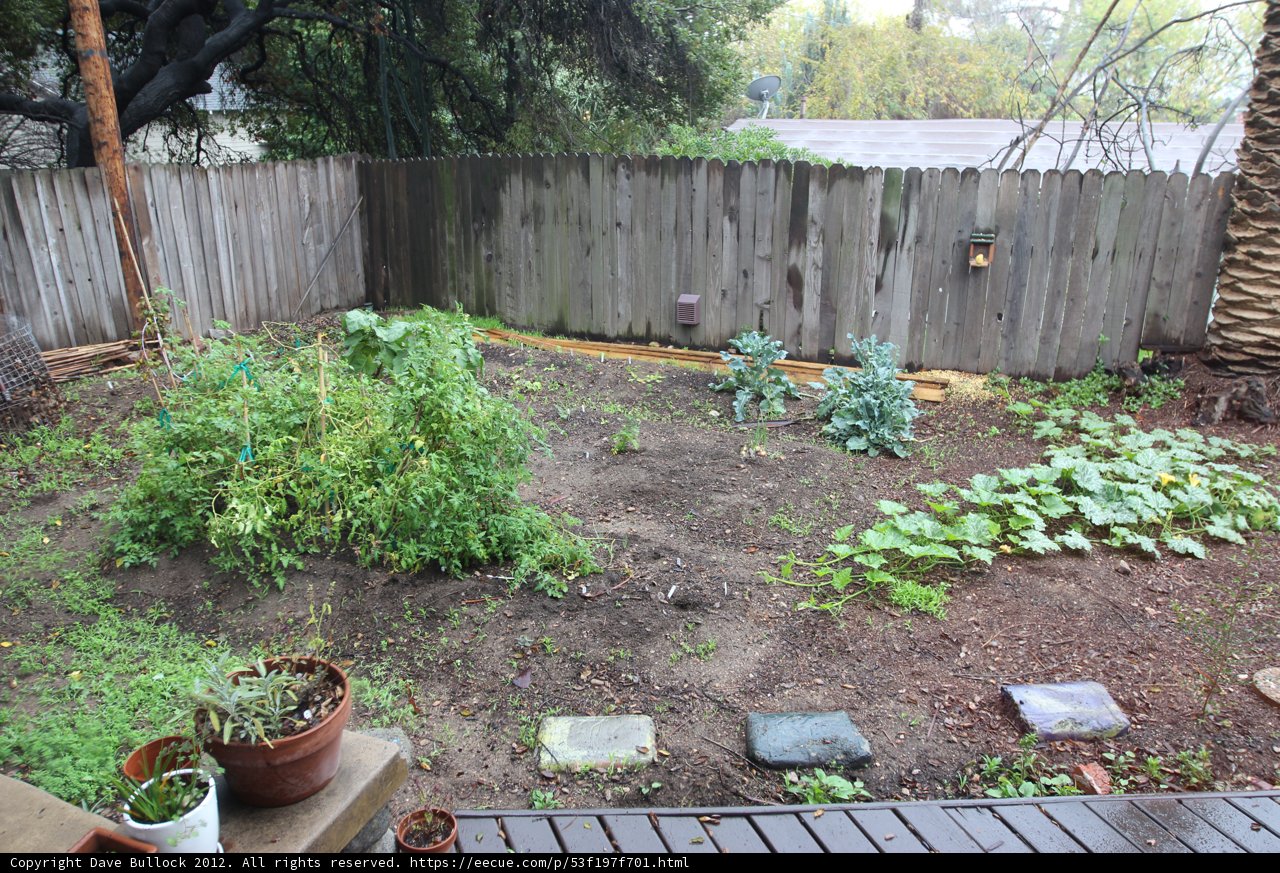 Backyard Oasis