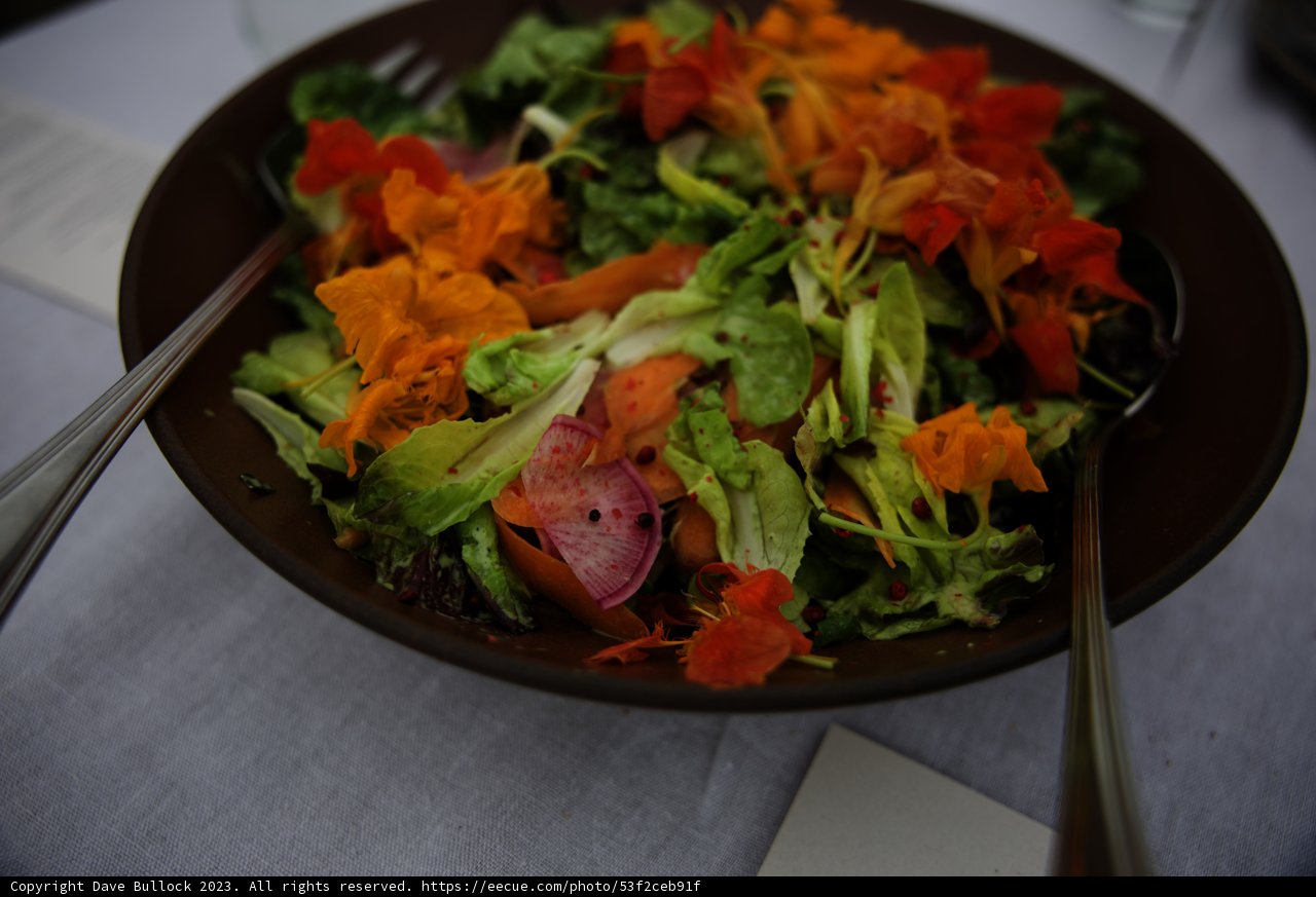 A Refreshing Salad at Secret Beach Pescadero
