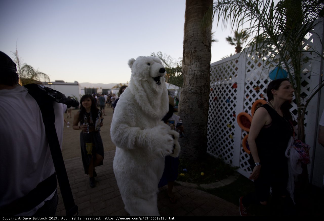 Polar Bear Struts His Stuff at Coachella