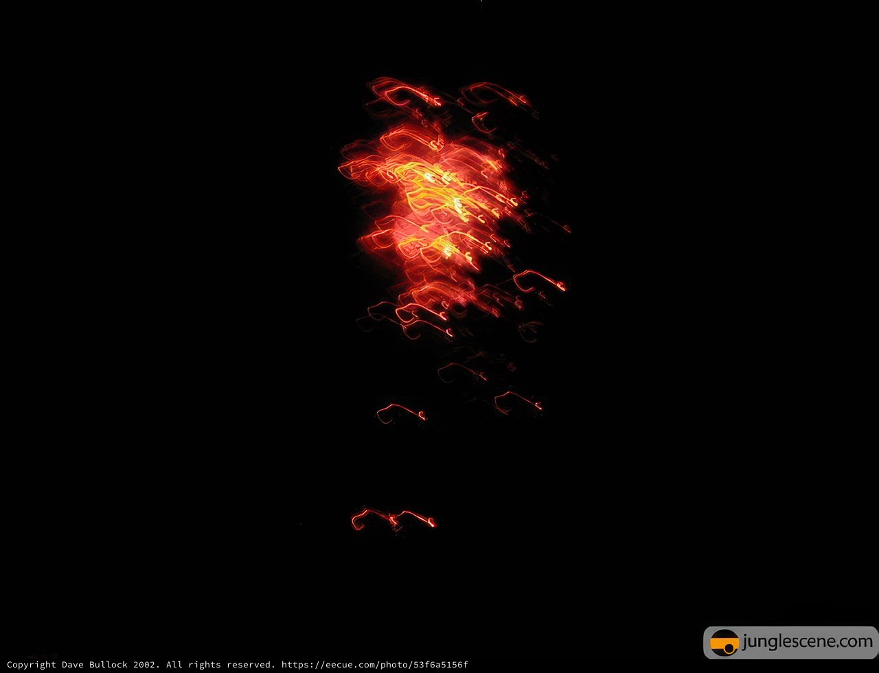 Fireworks Spectacular in the Night Sky