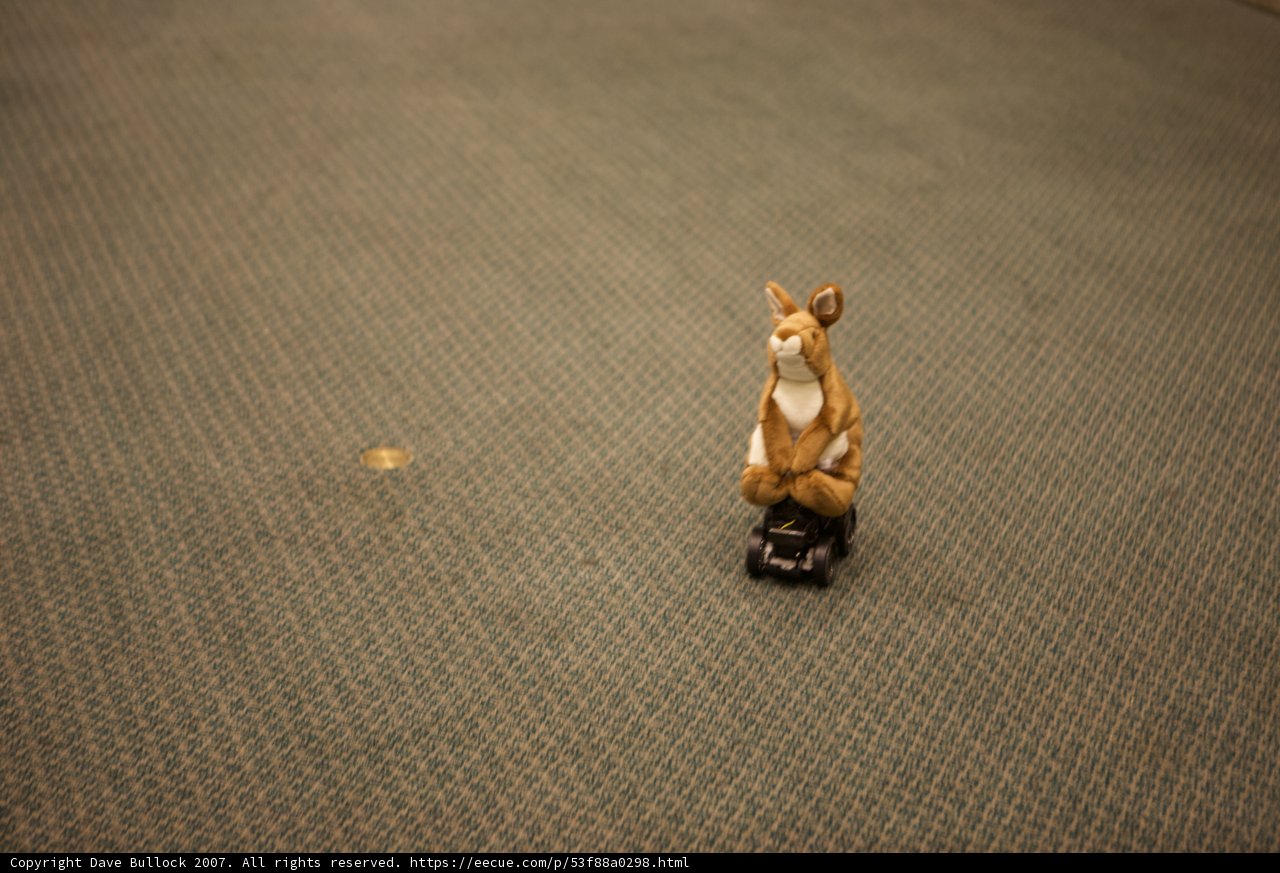 Toy Rabbit on Table