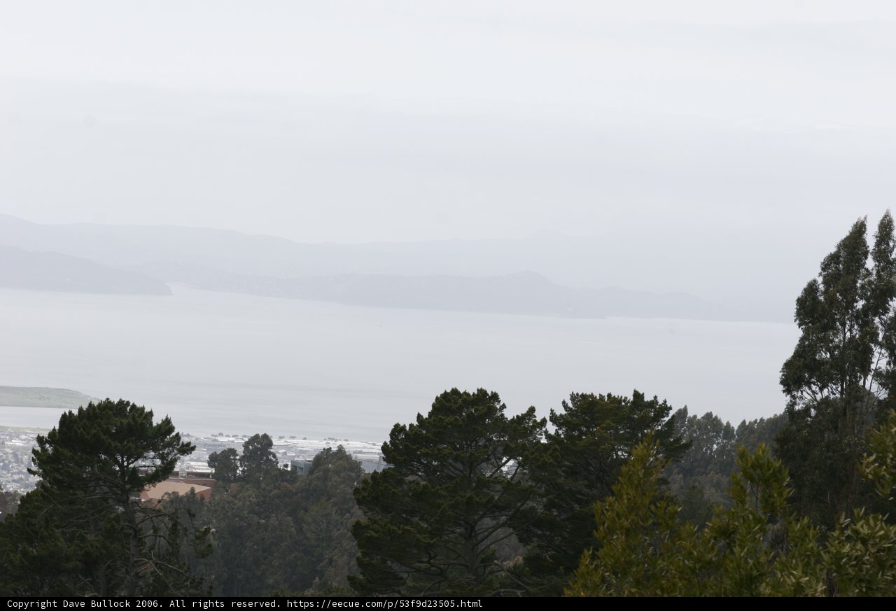 Hillside View of San Francisco Bay