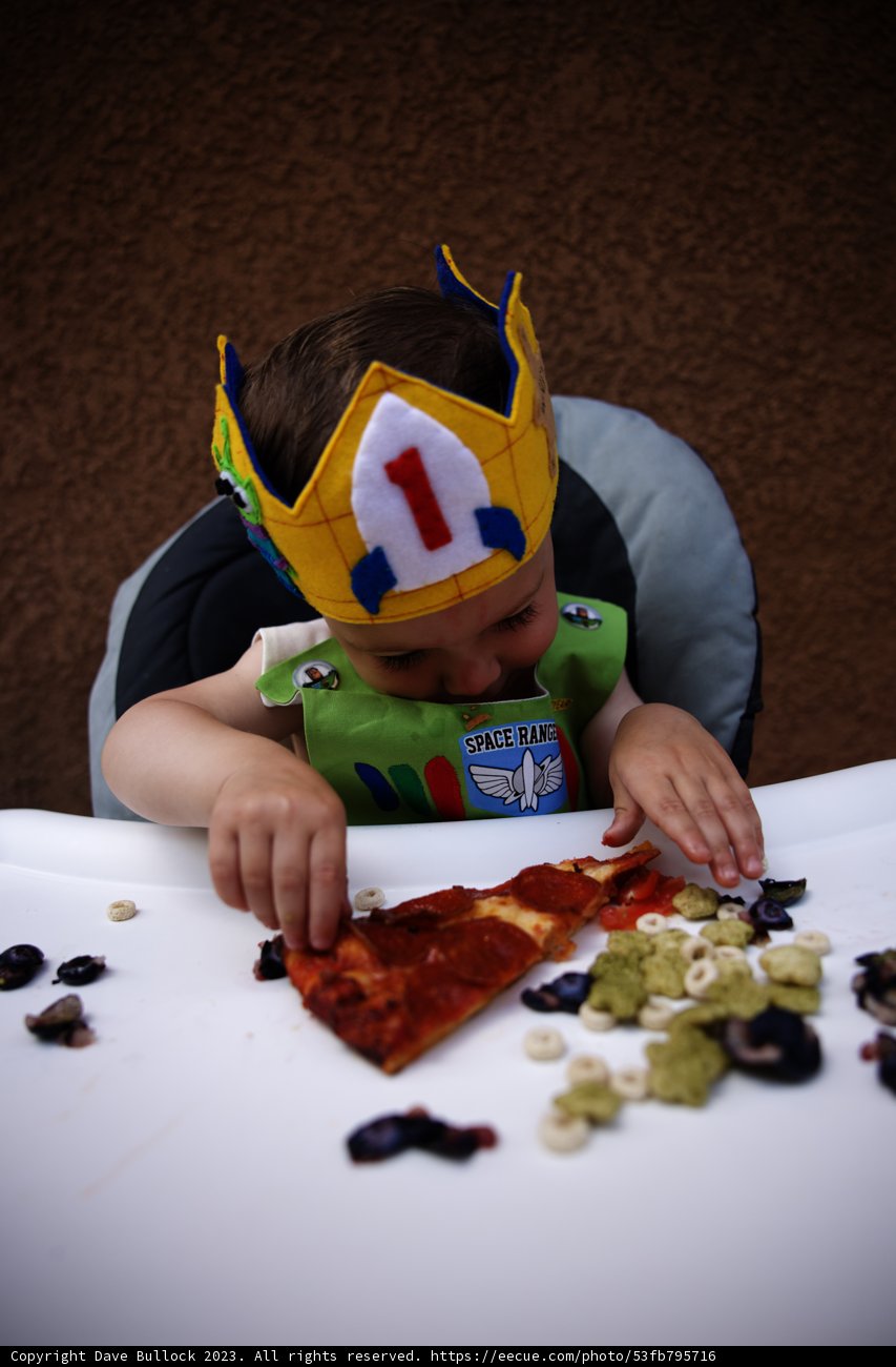 Wesley's Unforgettable First Birthday Bash!