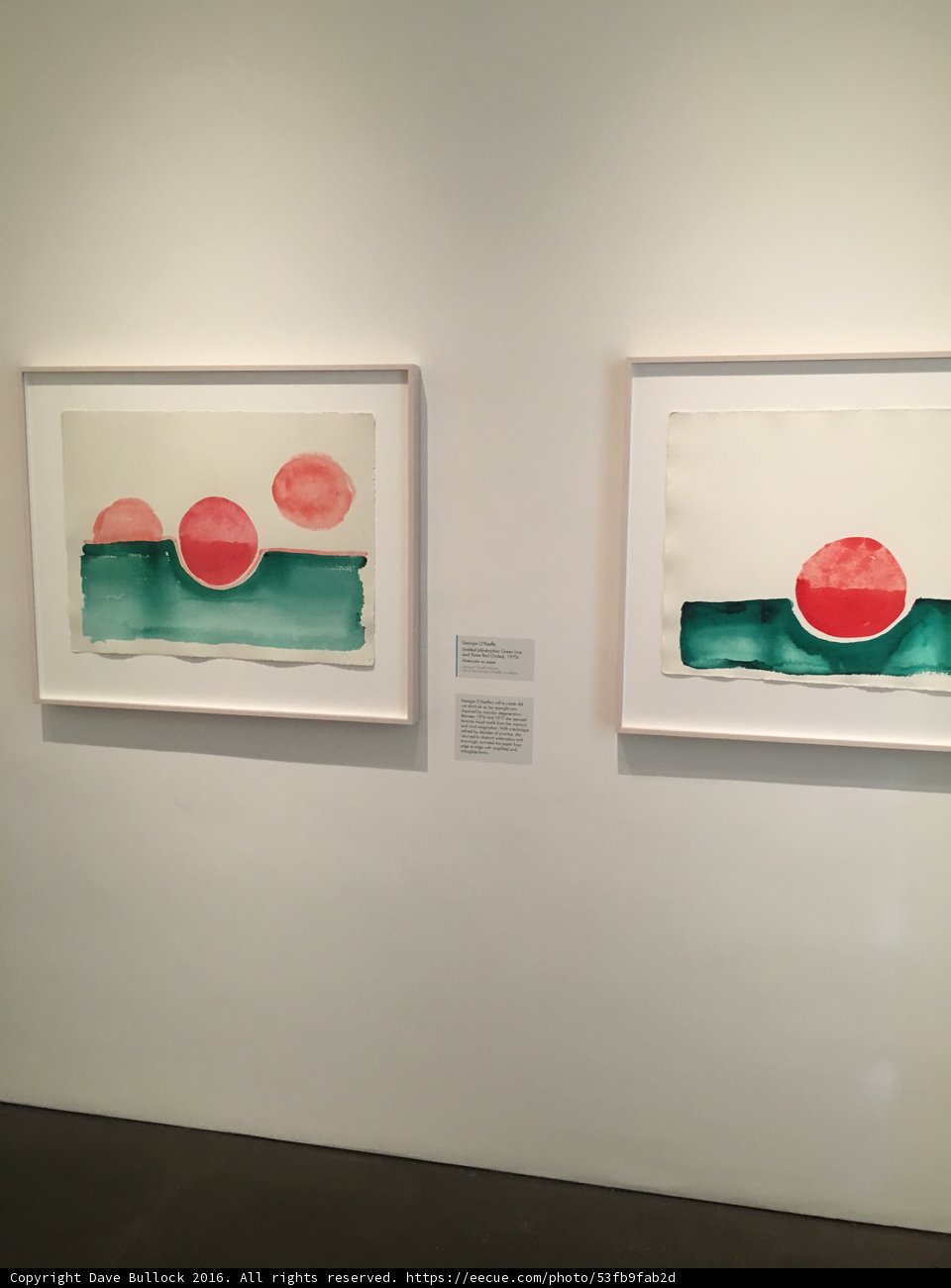 Art Display at the Georgia O'Keeffe Museum