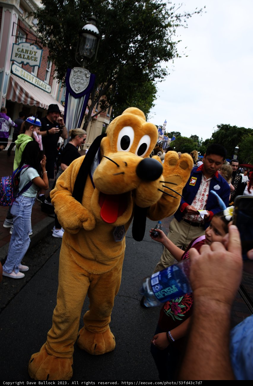 A Furry Surprise at the Disneyland Parade