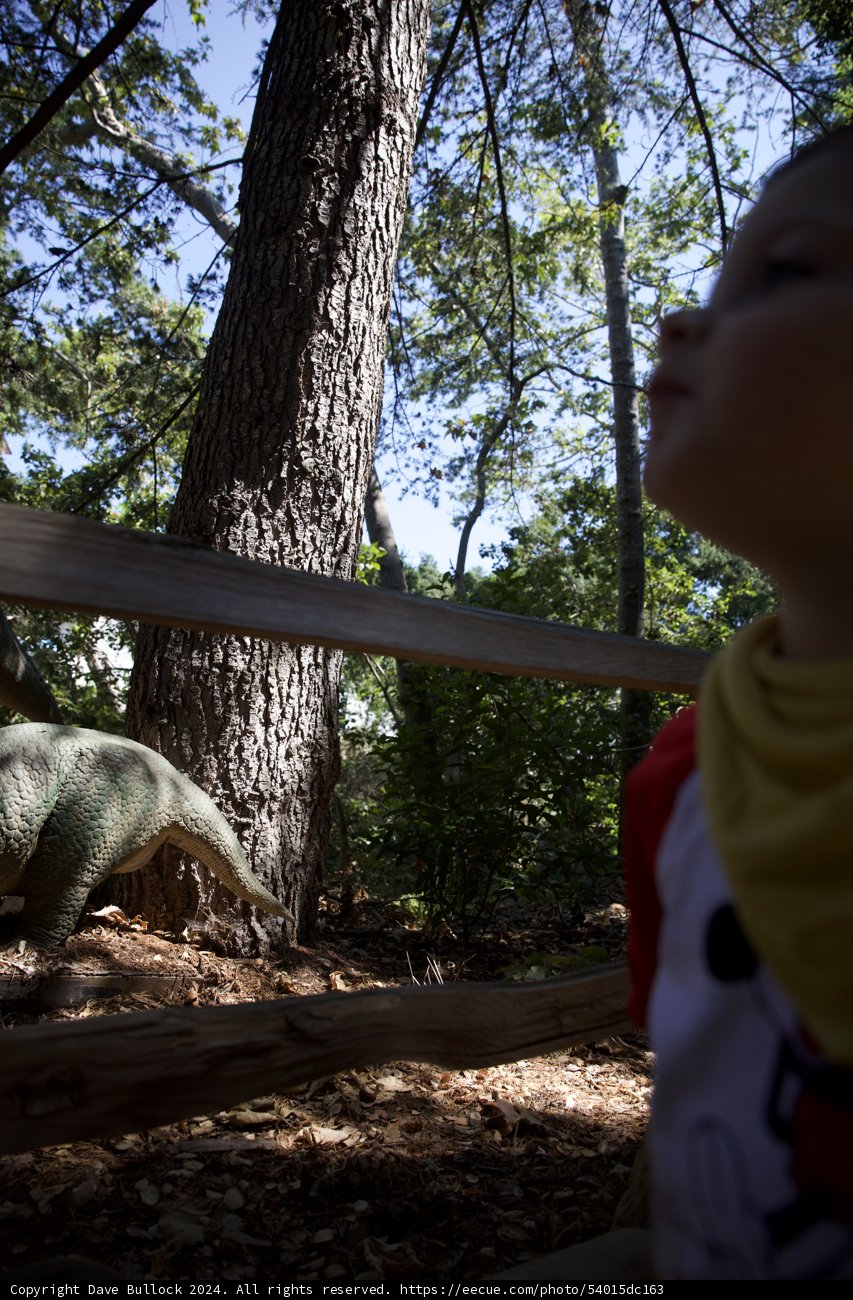 Dinosaurs in the Woods
