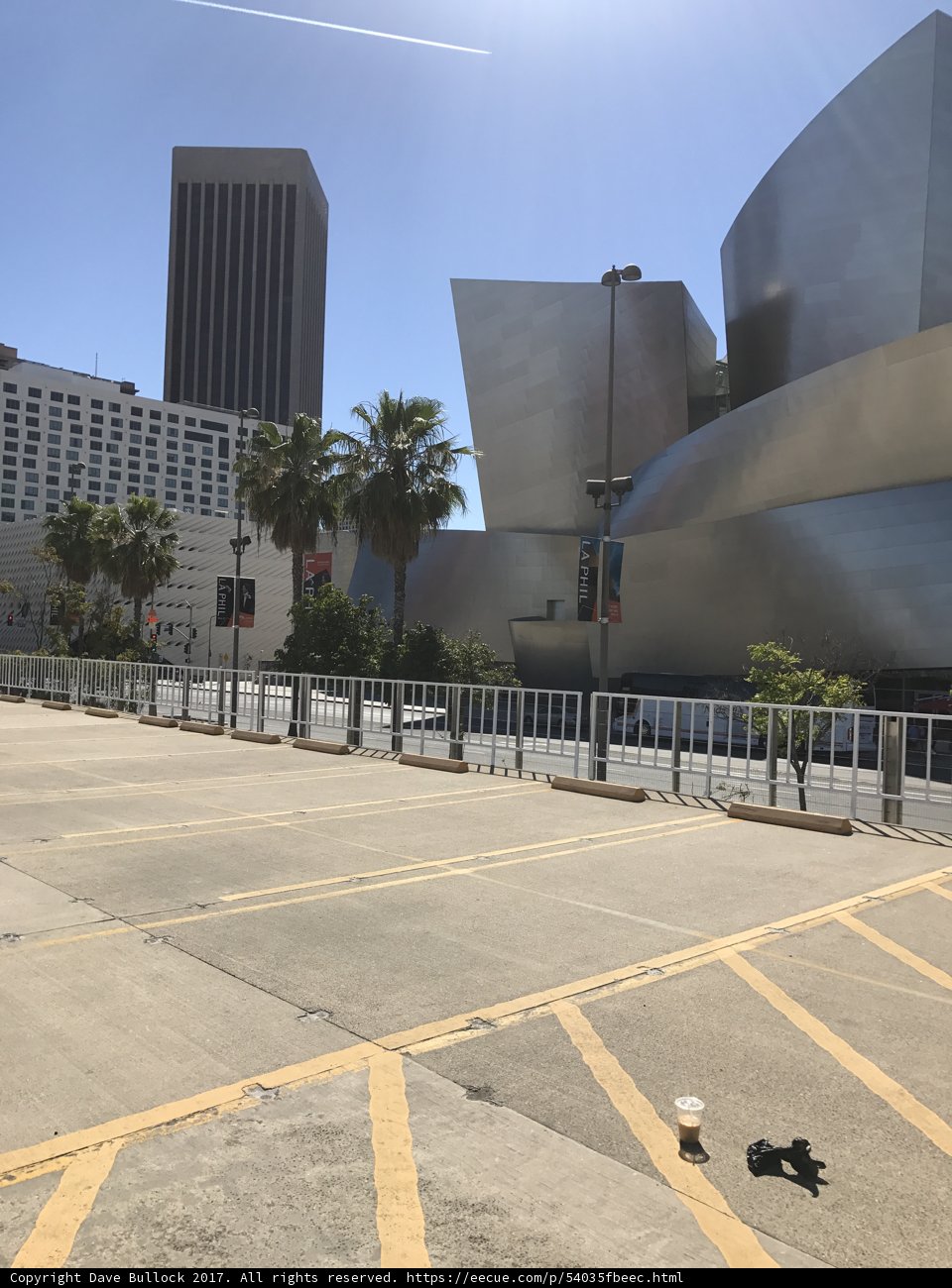 Urban Oasis