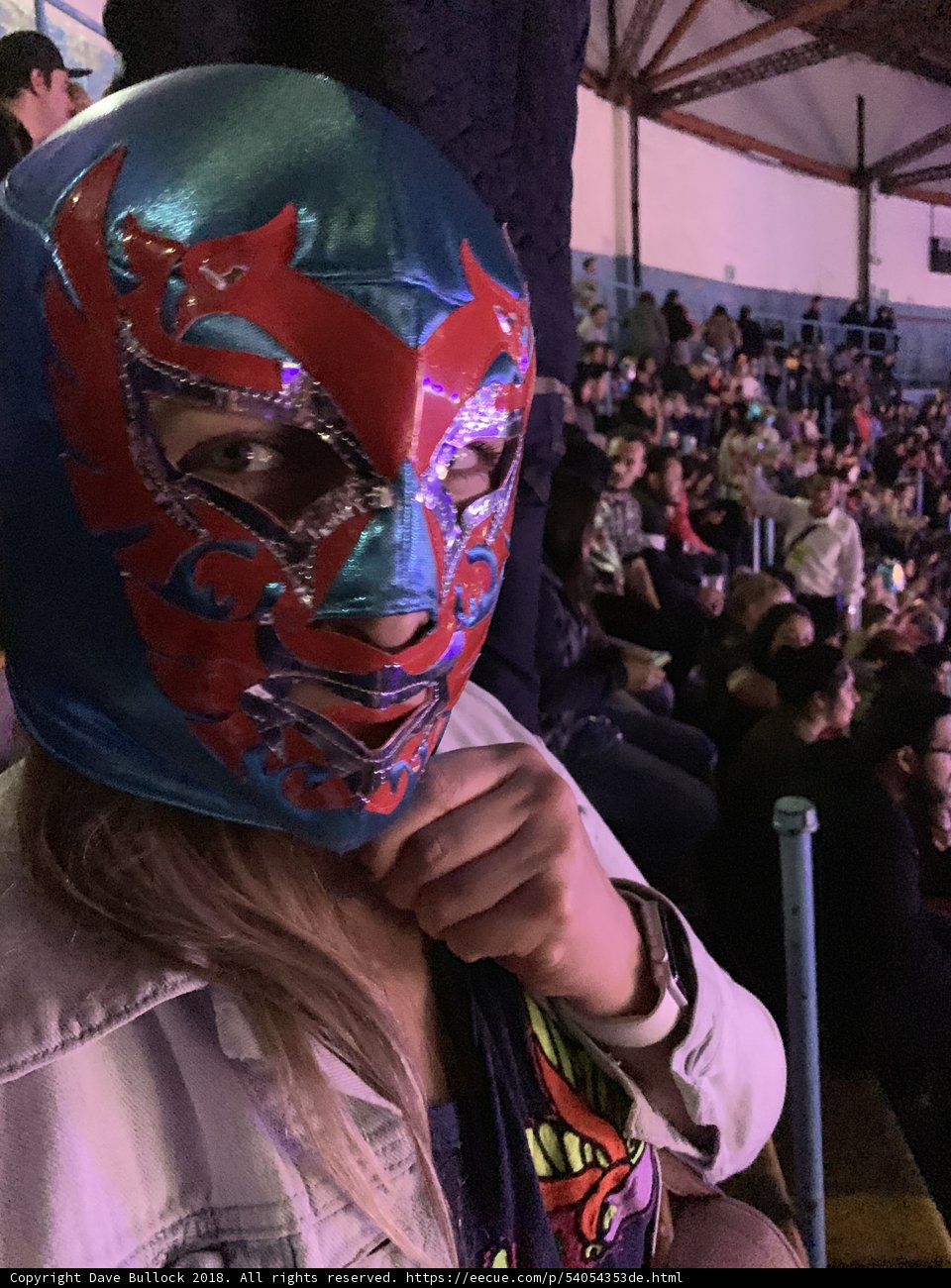 Masked Woman in the Wrestling Crowd