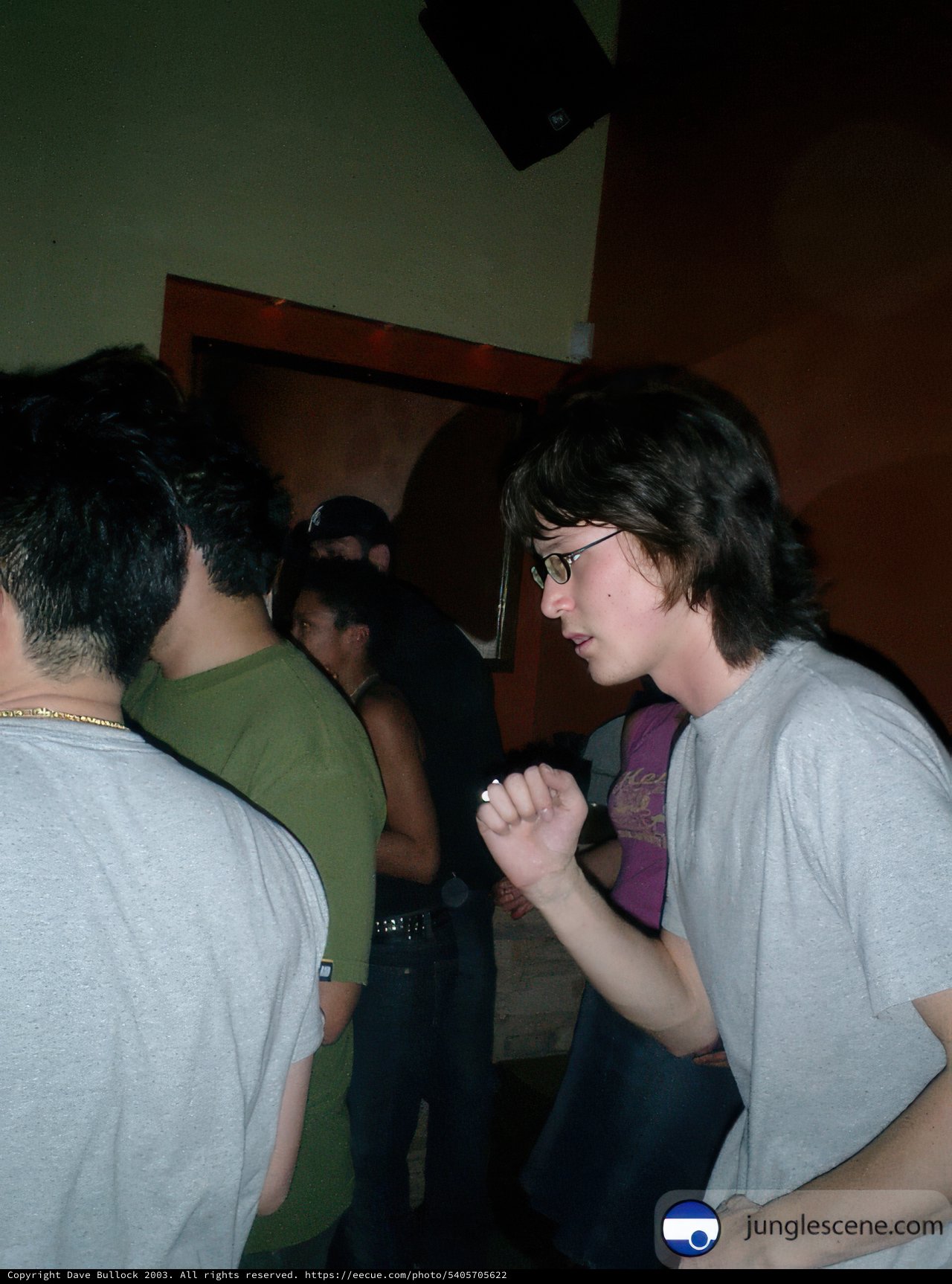 Party Enthusiasm