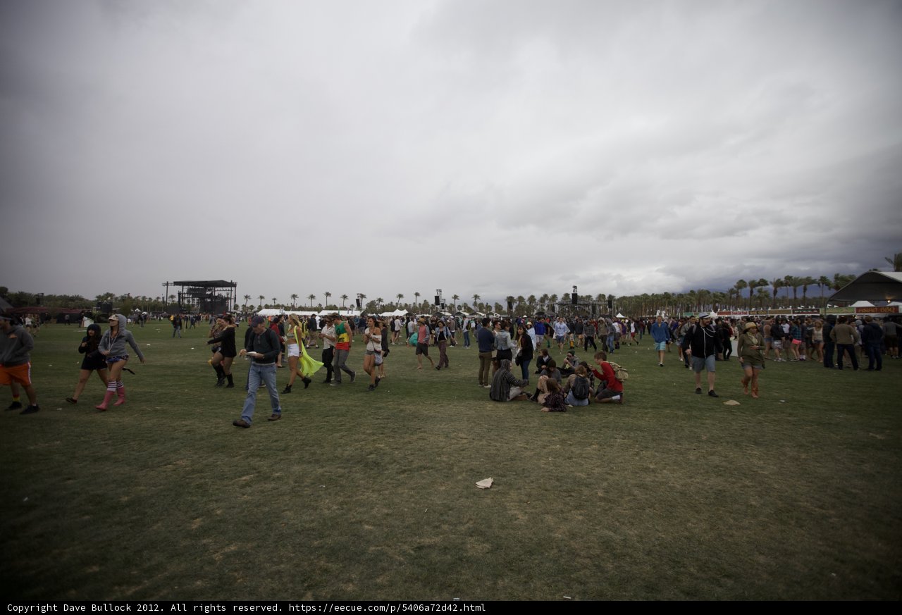 Music Festival Madness