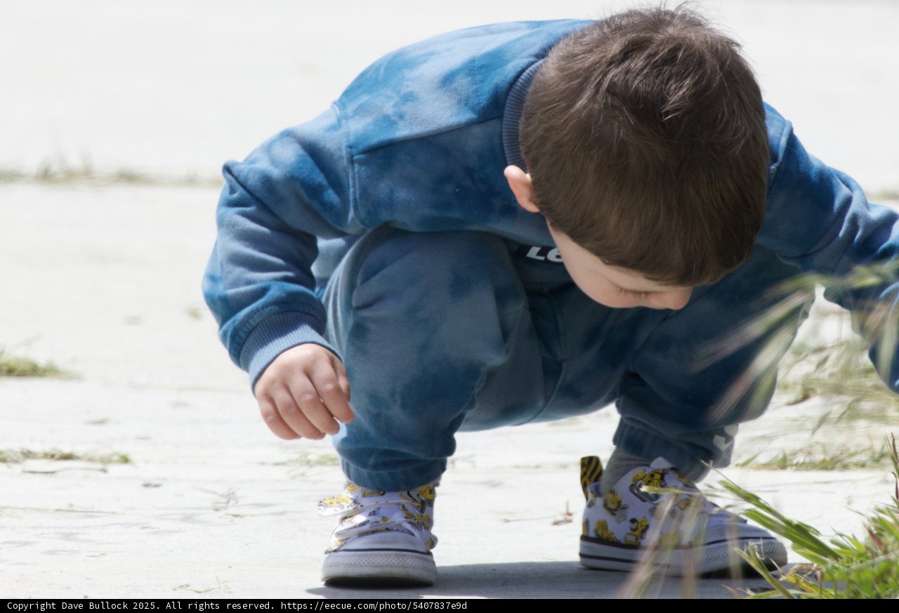 Curious Exploration