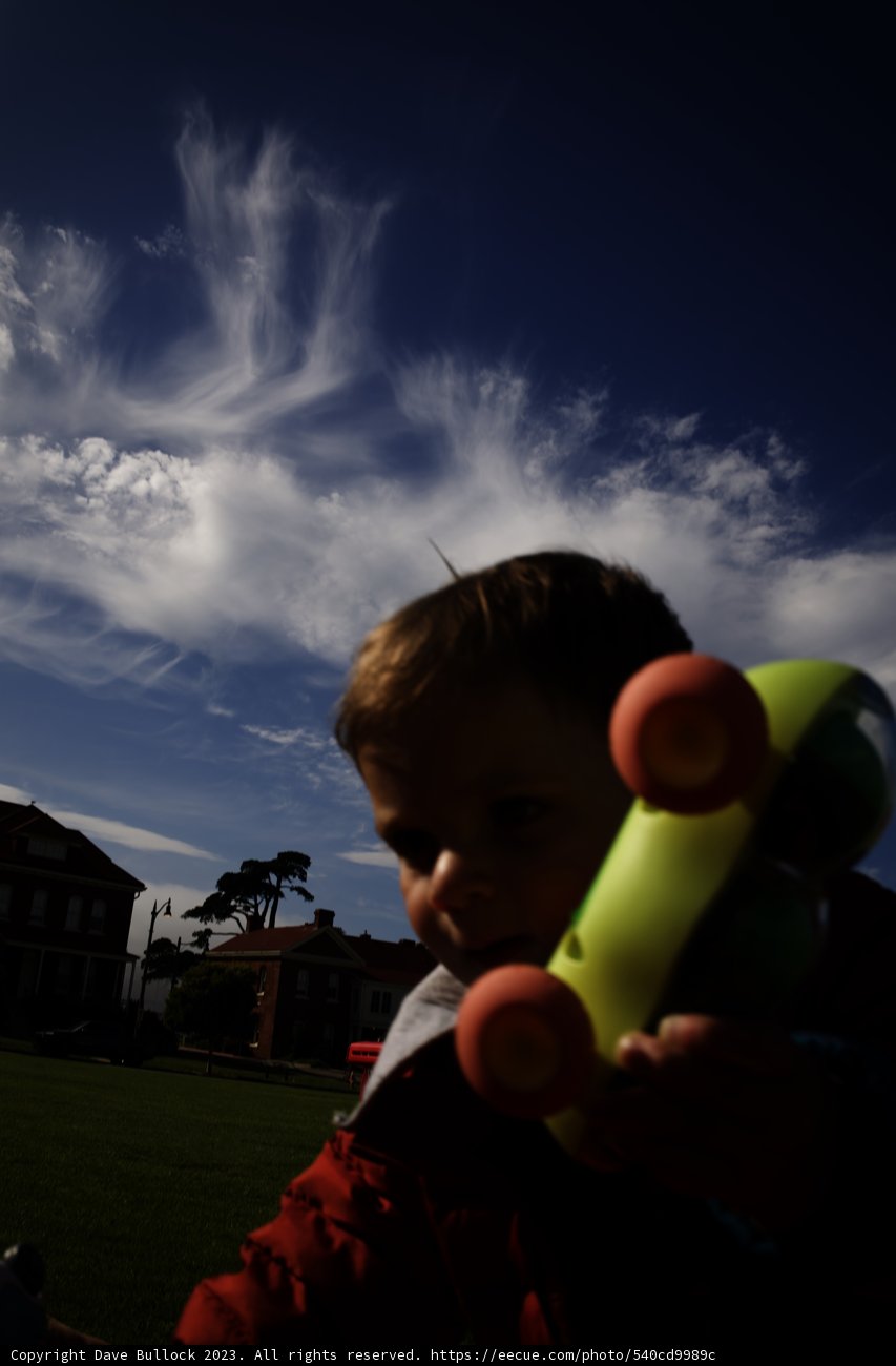 A Childhood in the Blue Sky