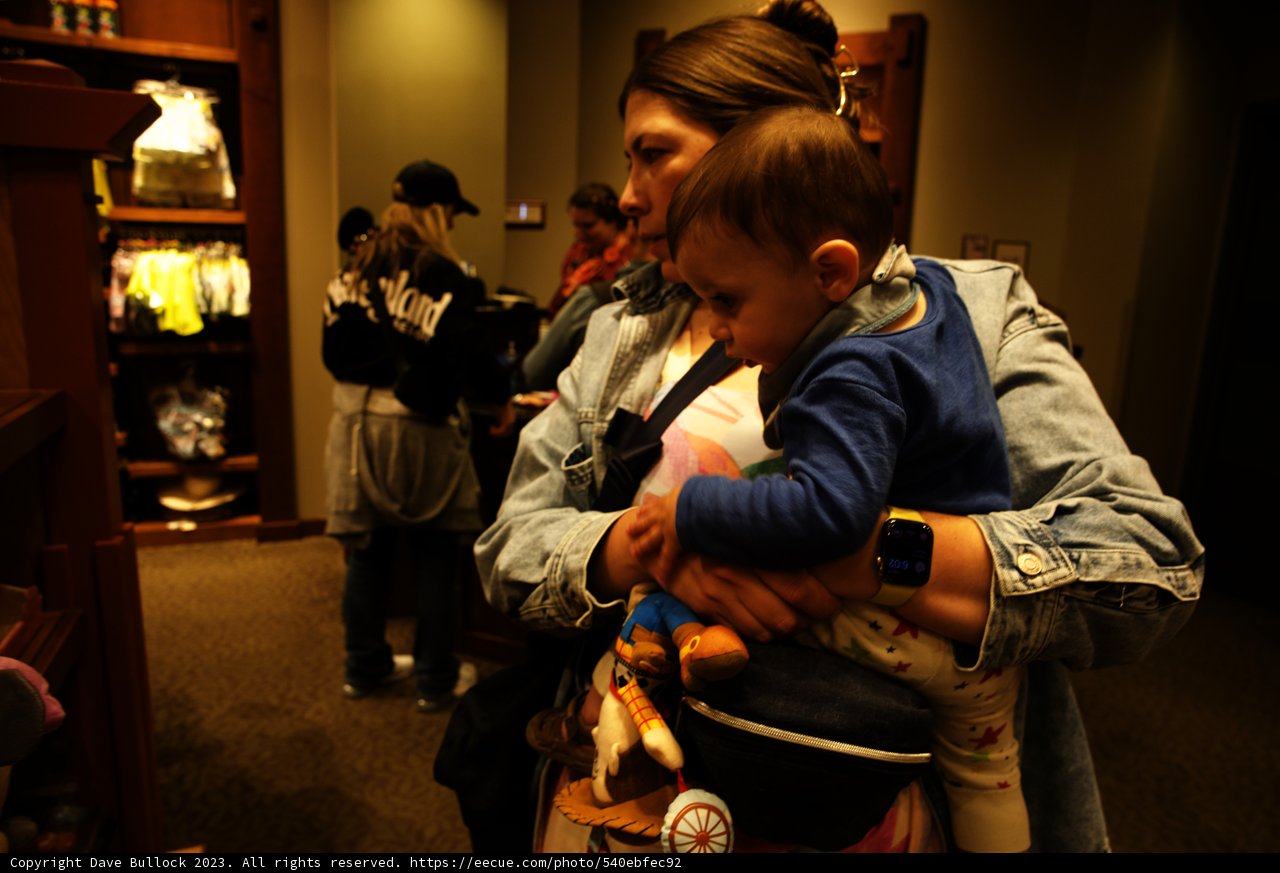 Family Shopping Adventure at Disneyland
