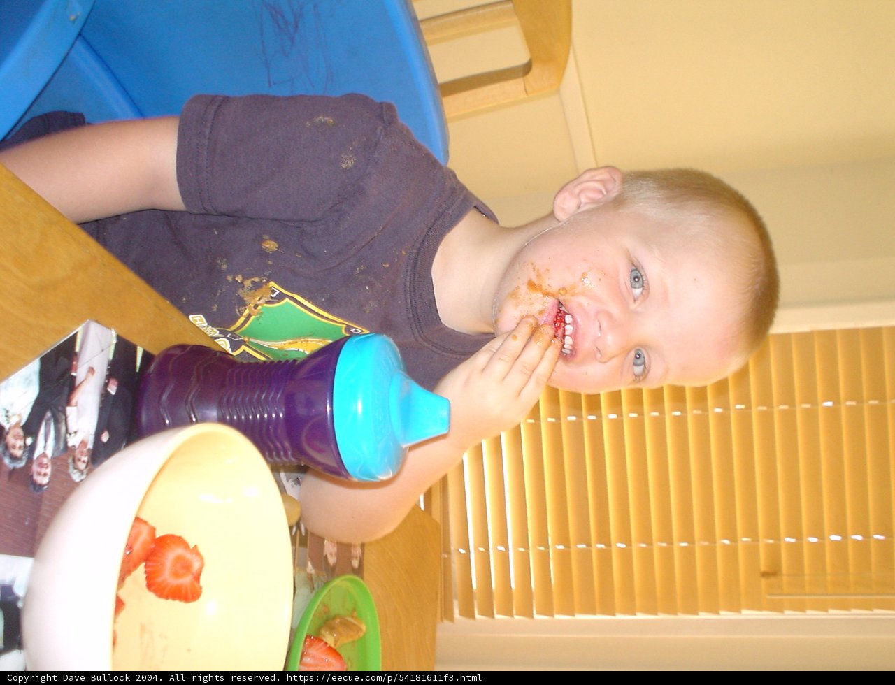 Munching away at the table
