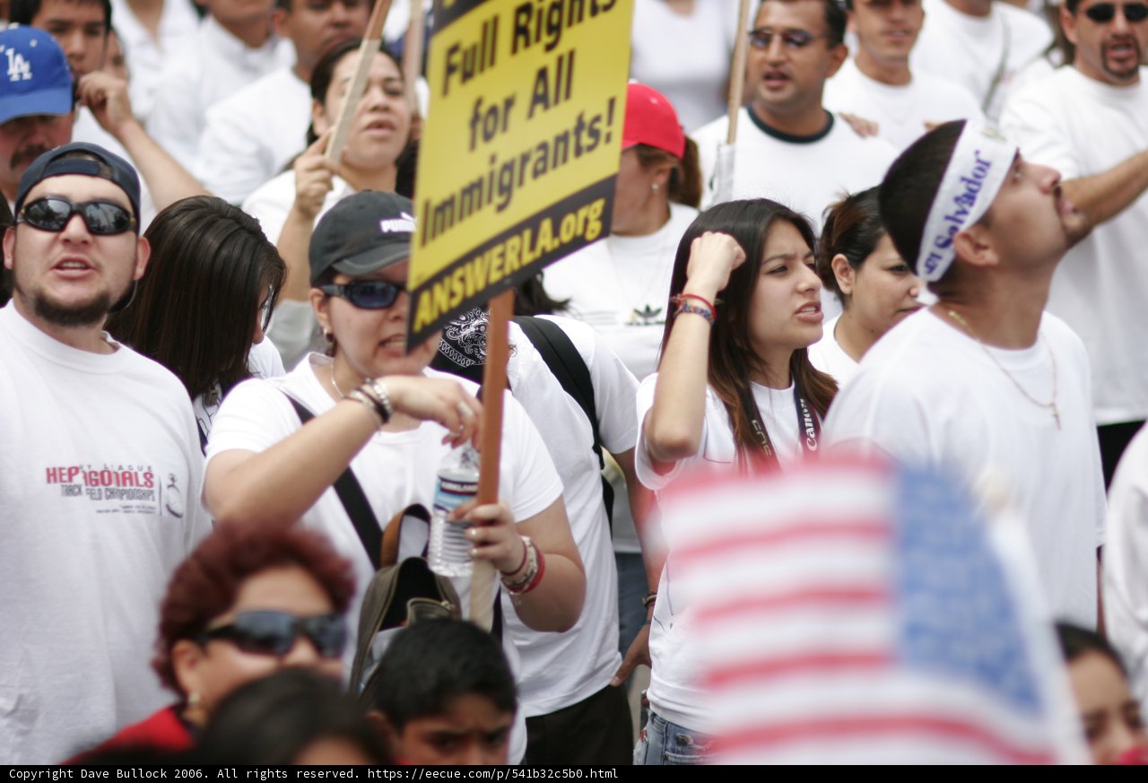 Protest with Colorful Signs and Flags