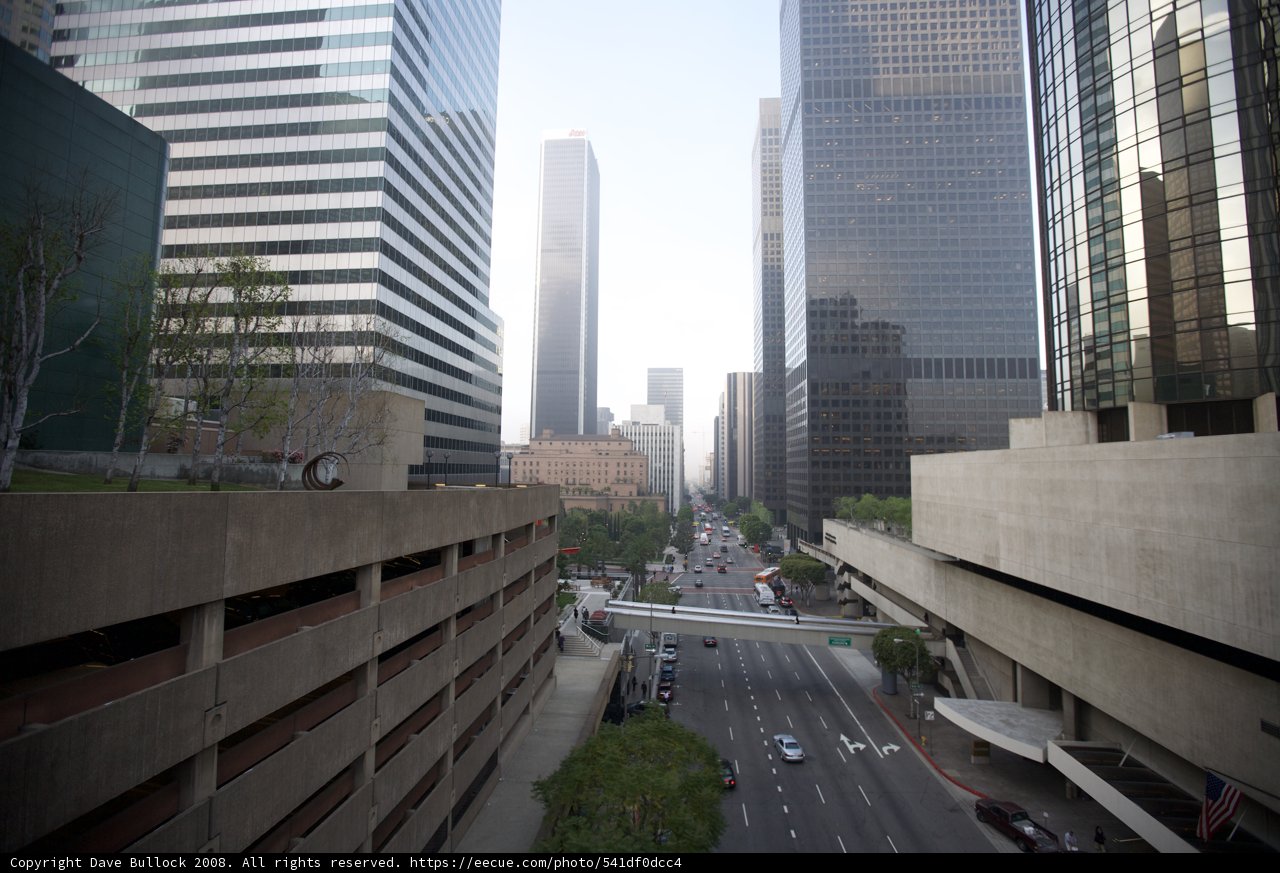 The Urban Jungle