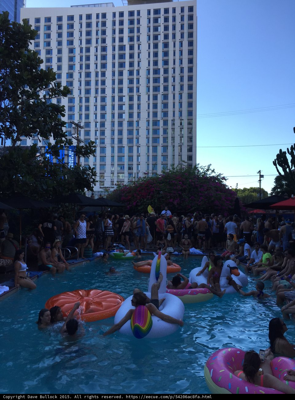 Summer Fun in the City Pool