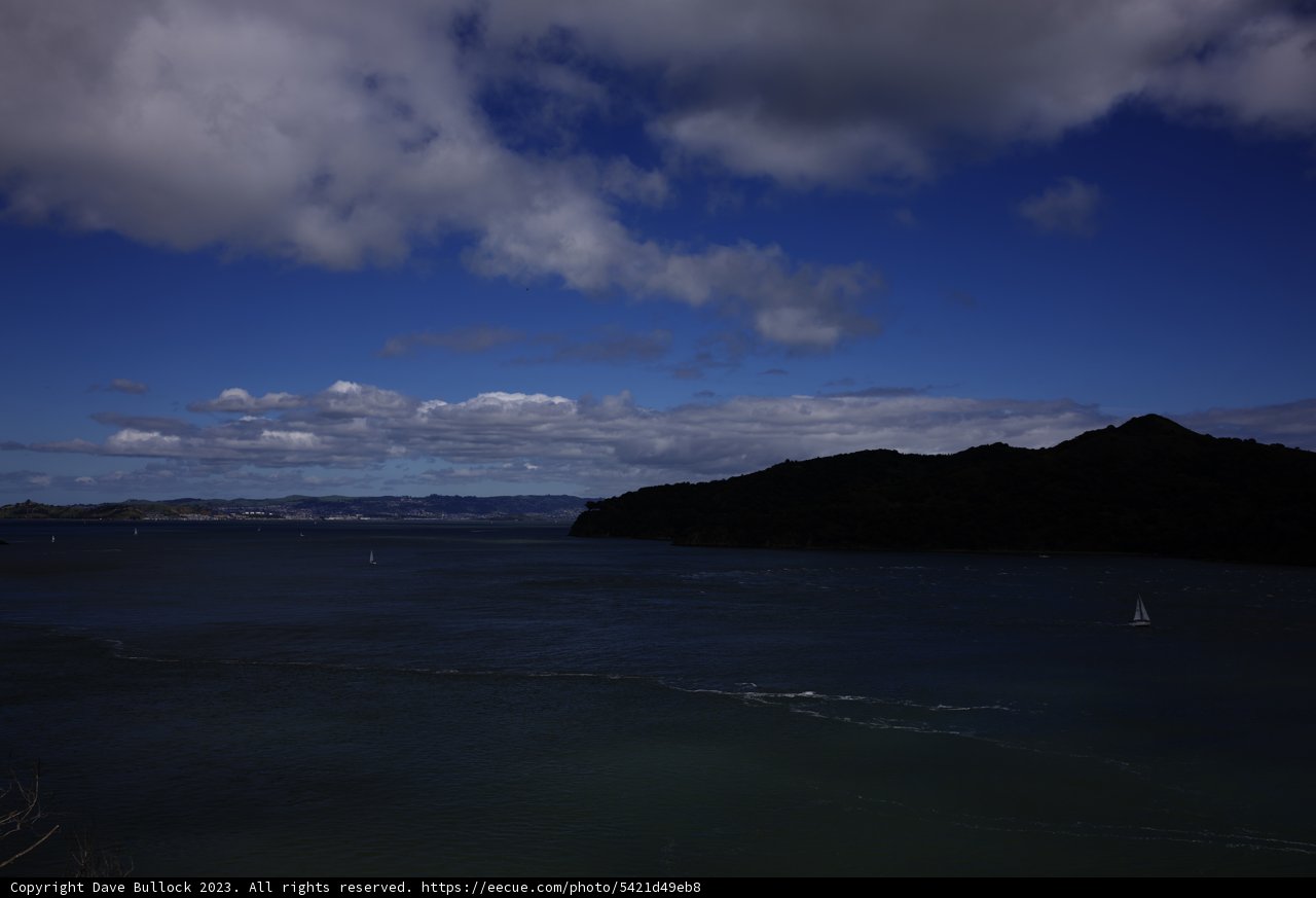 Serene Tiburon Bay