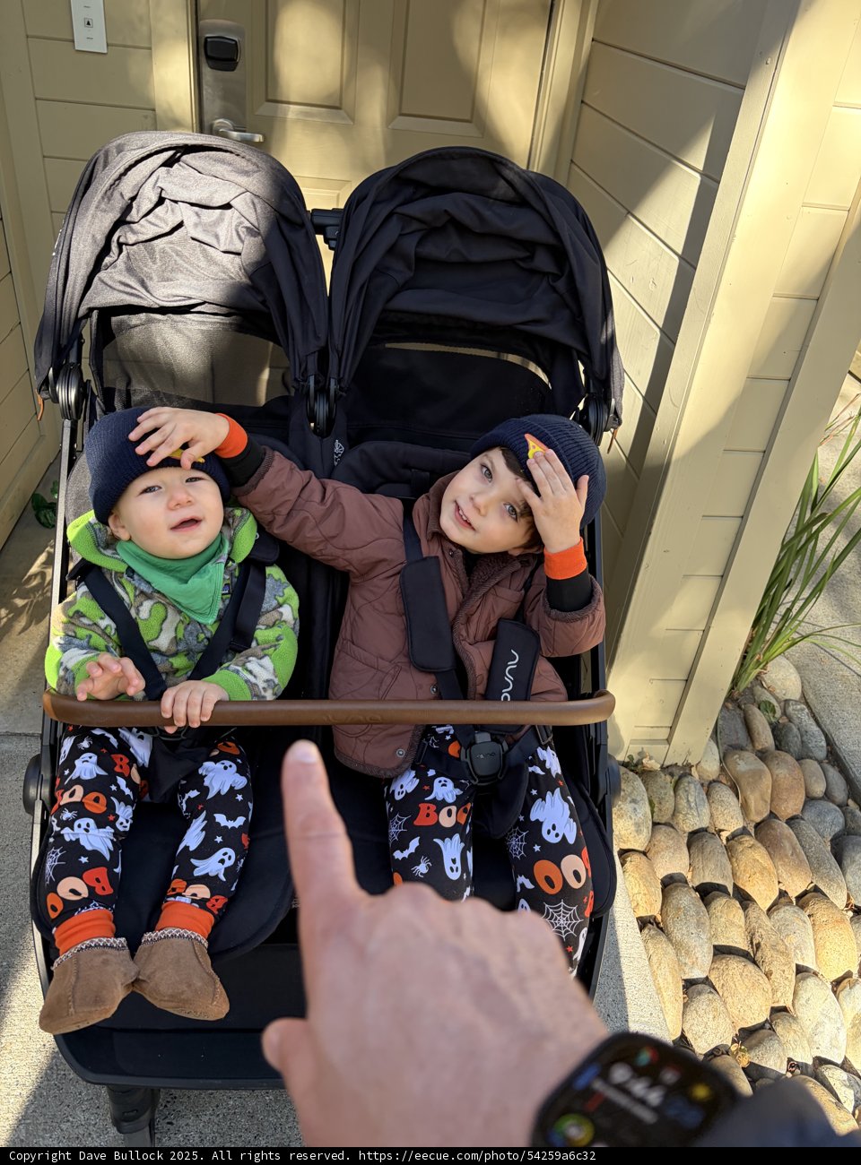 Sunny Smiles in Carmel