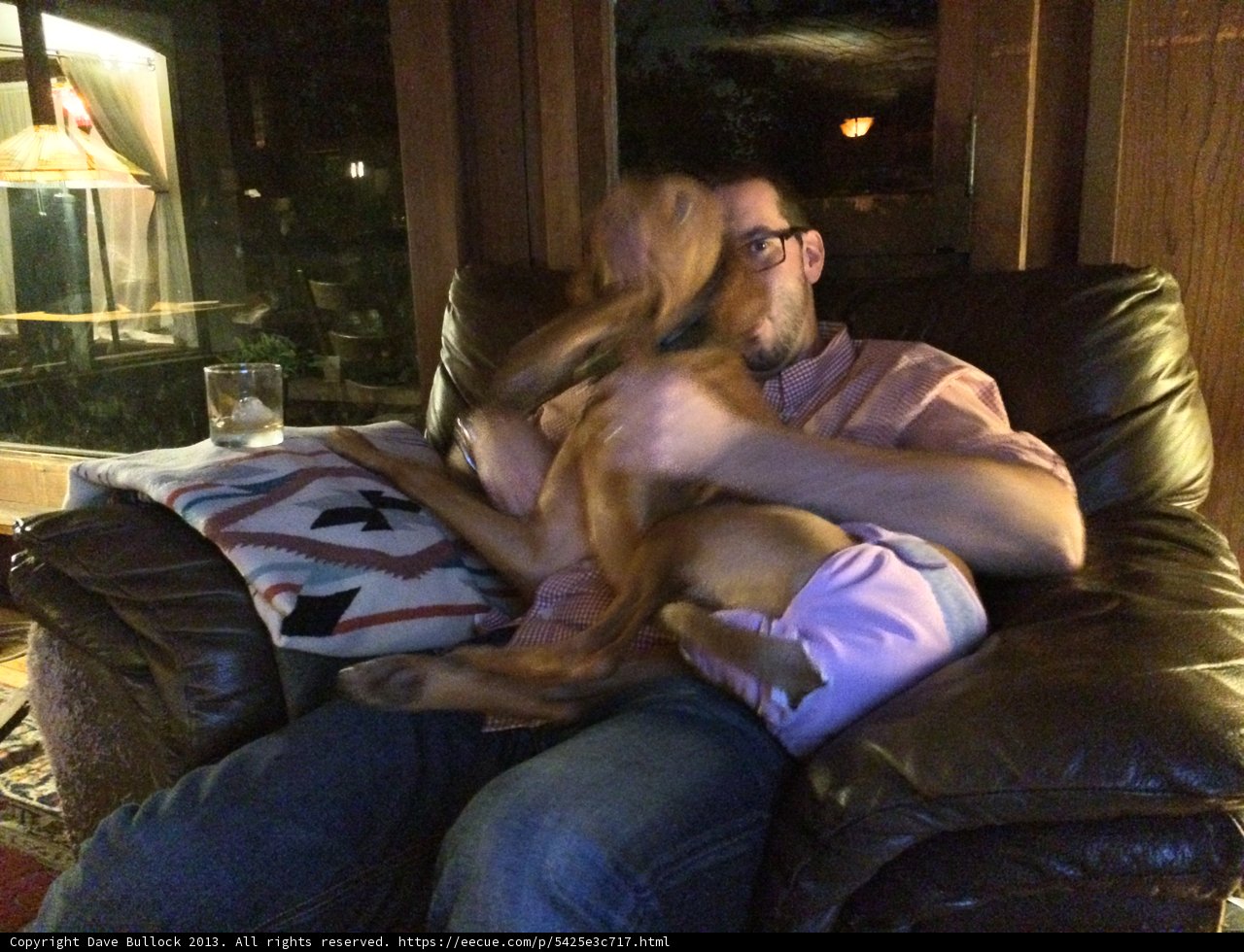 Man and His Companion on the Couch