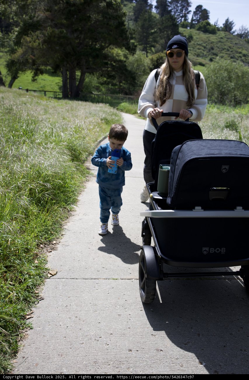 Strolling Through Serenity
