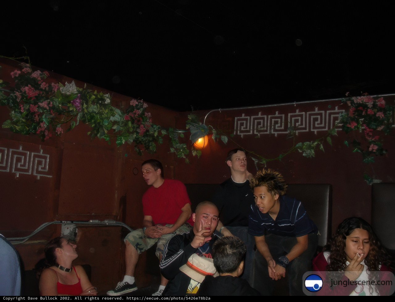 Nighttime Gathering