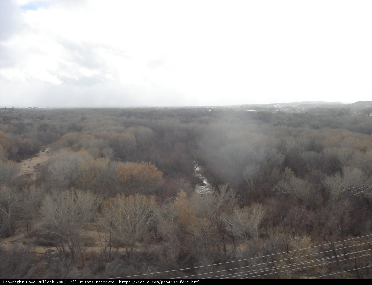 Misty Morning in Salt Lake City