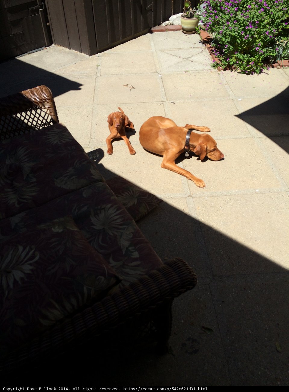 Relaxing on the Flagstone Patio