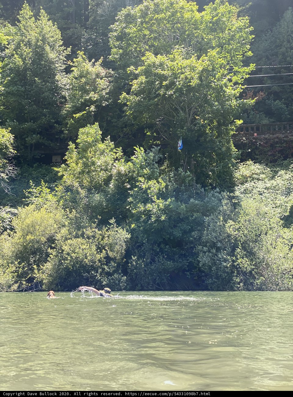 Floating in Nature's Paradise