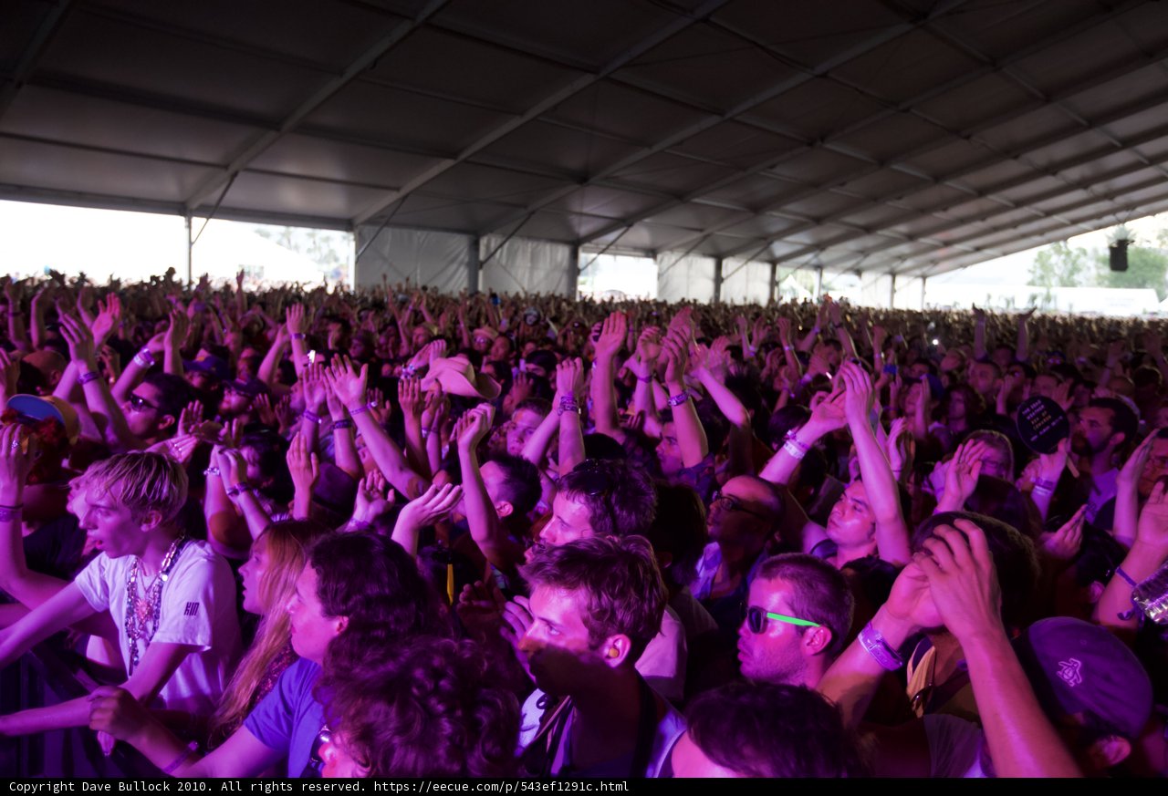 Euphoric Crowd at Coachella Music Festival