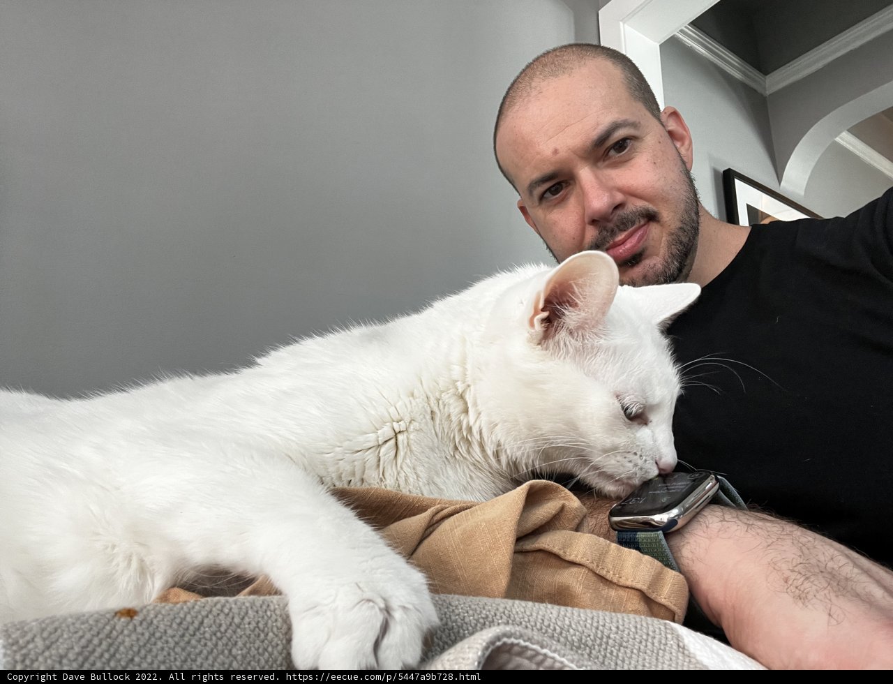 Man and his Feline Companion