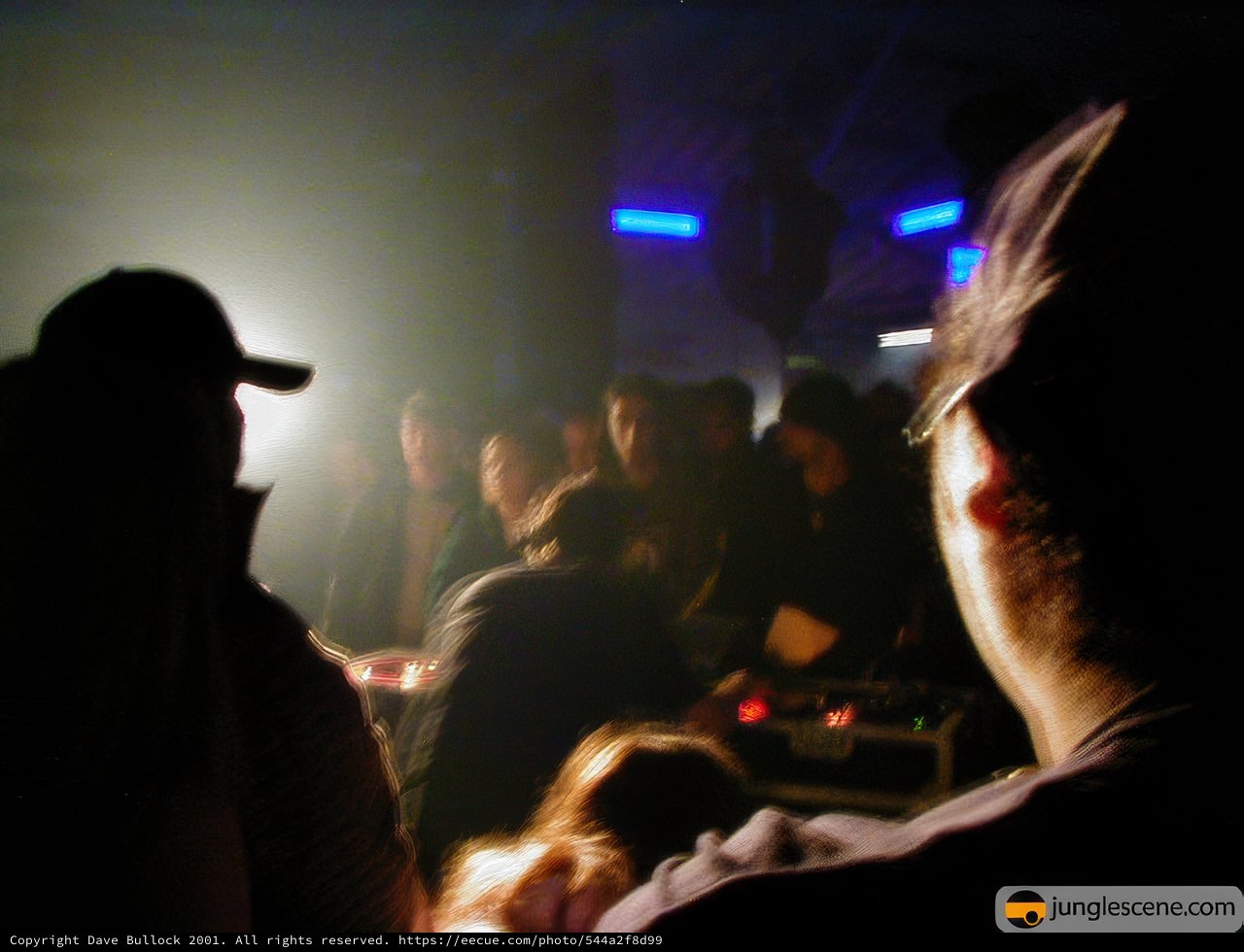 Club Vibes: A Night of Disco and Dancing