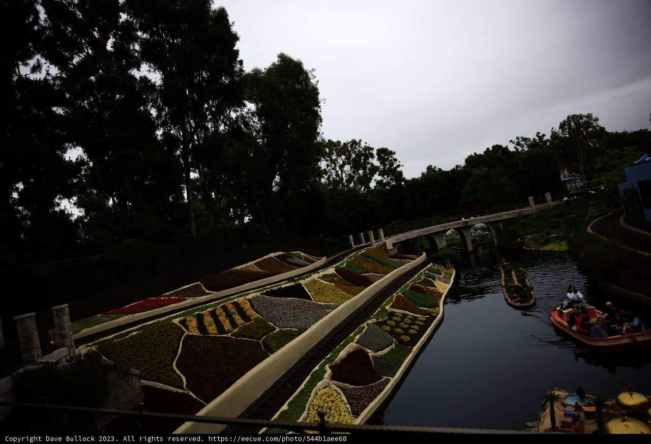 Serene Canal and Boating Adventure