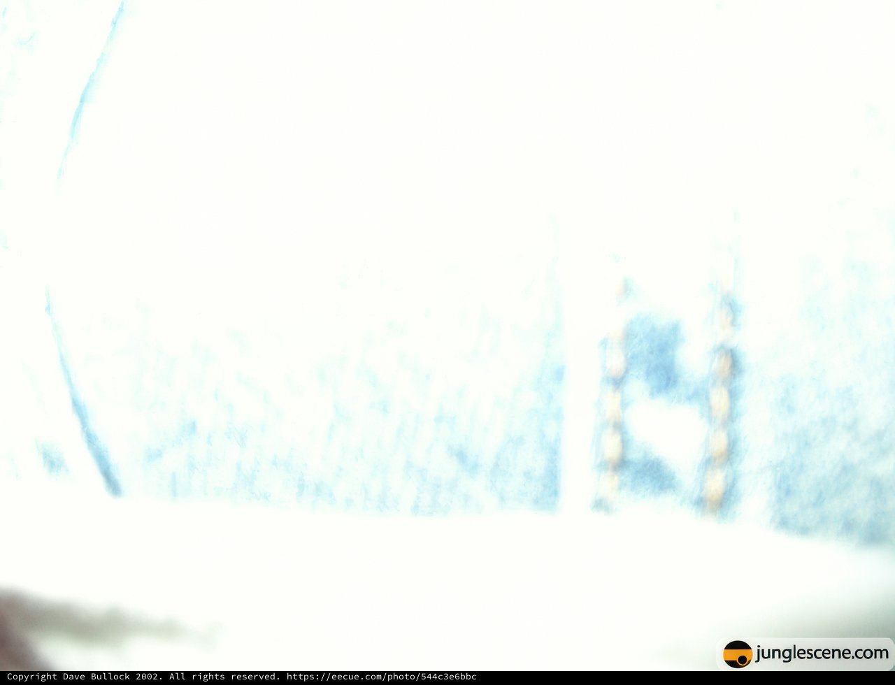 Blurry Figure Captured in Blizzard