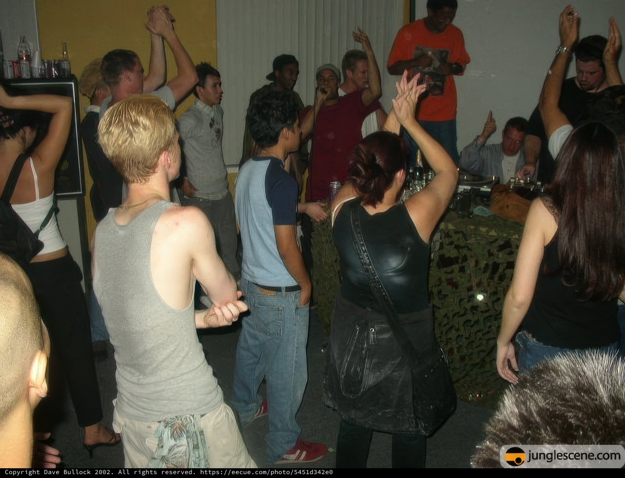 Nightclub Party with Friends
