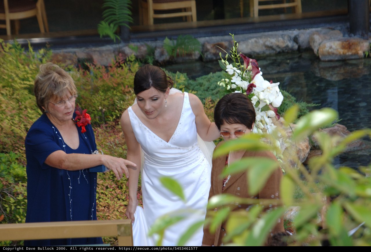Bride Being Guided by Loved Ones at Outdoor Wedding