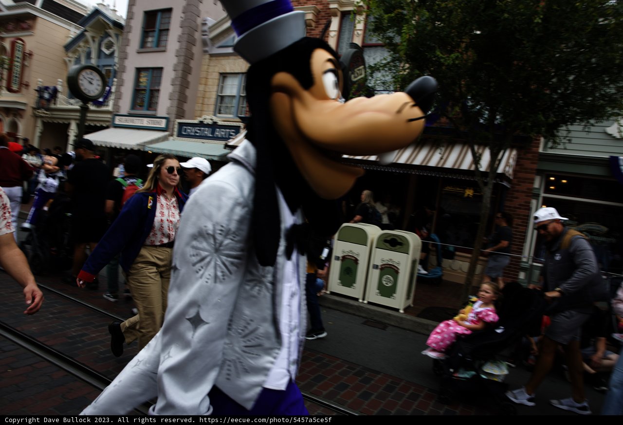 Magical Encounter on Main Street