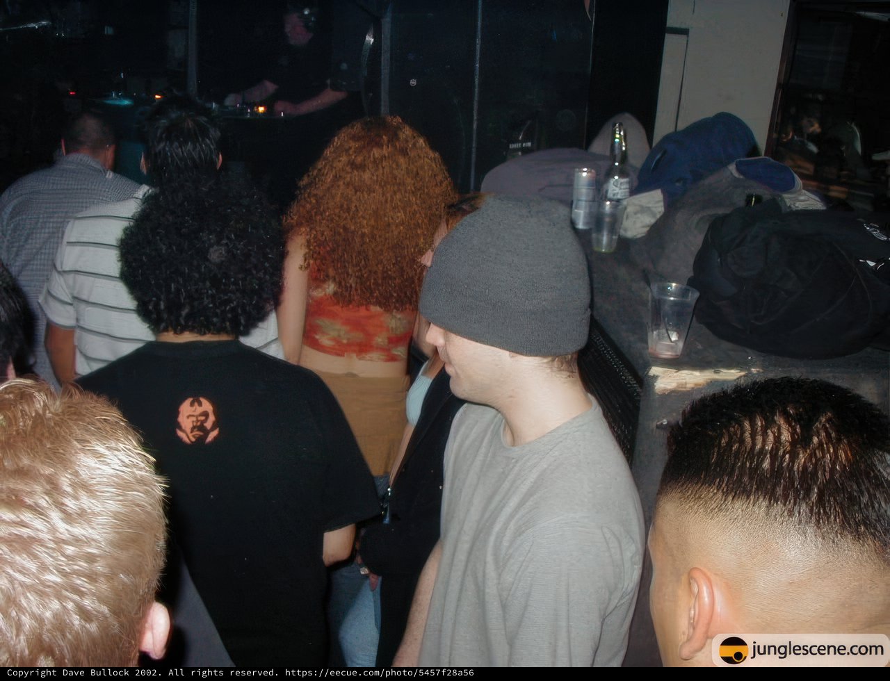Nightclub Gathering