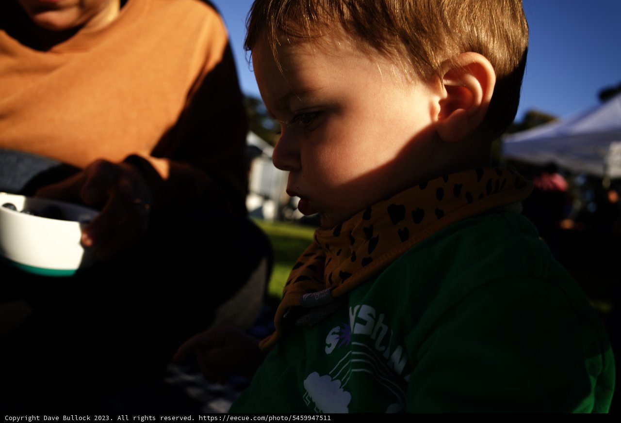 A Summer's Day in Delores Park, 2023