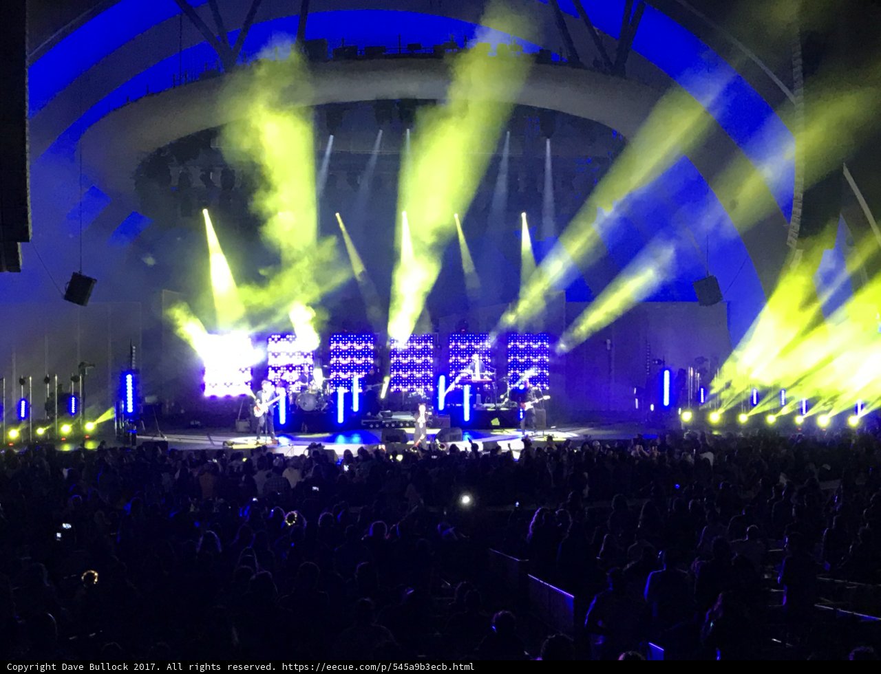 Rockin' Under the Lights